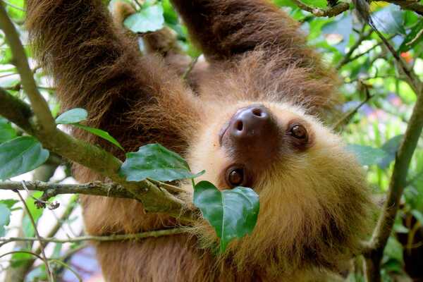 Science Highlights der Woche (14. Juni 2026)