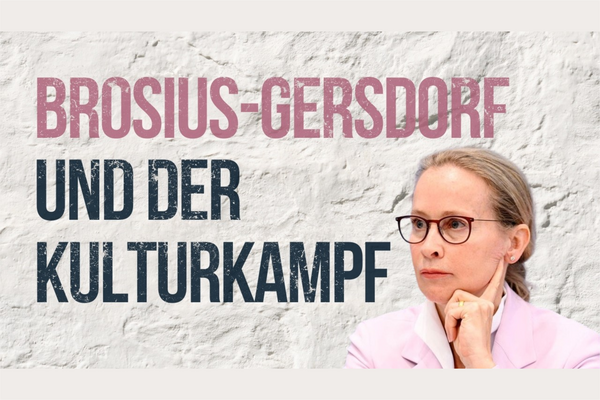 Kulturkampf um die Leihmutterschaft